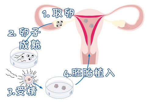 苏医生